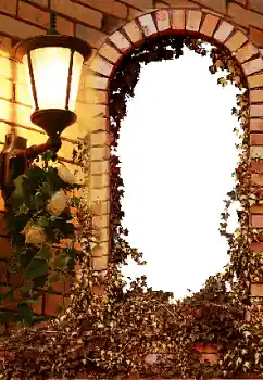 Foto effect van de categorie Verschillend № 8595