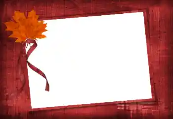 Foto effect van de categorie Verschillend № 86582 Foto effect van de categorie Verschillend № 86582