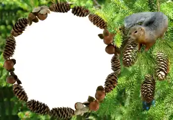 Foto effect van de categorie Verschillend № 8682