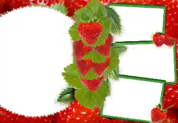 Foto effect van de categorie Verschillend № 8738