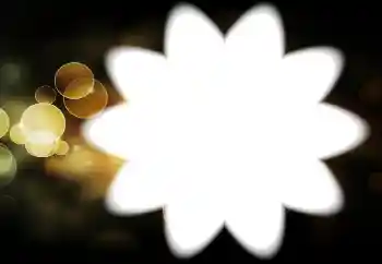 Foto effect van de categorie Verschillend № 88034 Foto effect van de categorie Verschillend № 88034