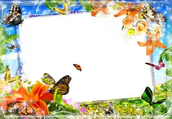 Foto effect van de categorie Verschillend № 89452 Foto effect van de categorie Verschillend № 89452