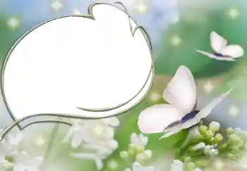 Foto effect van de categorie Verschillend № 90527 Foto effect van de categorie Verschillend № 90527