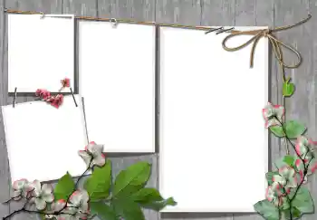 Foto effect van de categorie Verschillend № 91740