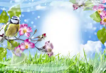 Foto effect van de categorie Verschillend № 91774