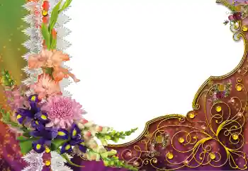 Foto effect van de categorie Verschillend № 91827 Foto effect van de categorie Verschillend № 91827