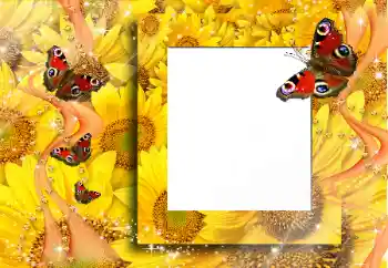 Foto effect van de categorie Verschillend № 91829 Foto effect van de categorie Verschillend № 91829