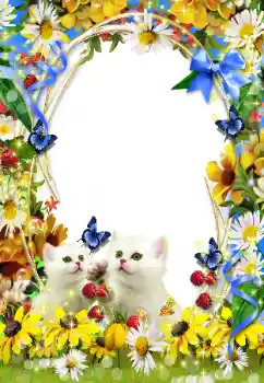 Foto effect van de categorie Verschillend № 93351