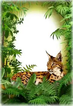 Foto effect van de categorie Verschillend № 94618 Foto effect van de categorie Verschillend № 94618