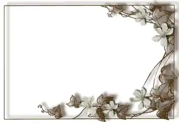 Foto effect van de categorie Verschillend № 94748 Foto effect van de categorie Verschillend № 94748