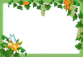 Foto effect van de categorie Verschillend № 9658