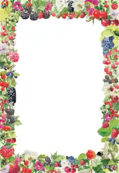 Foto effect van de categorie Verschillend № 9790