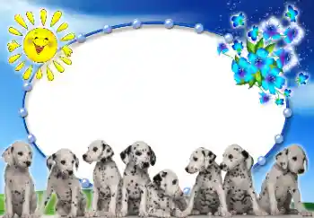 Foto effect van de categorie Verschillend № 9907