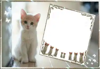 Foto effect van de categorie Verschillend № 99811