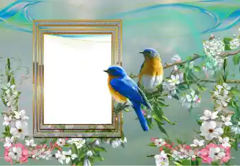 Foto effect van de categorie Verschillend № 99895