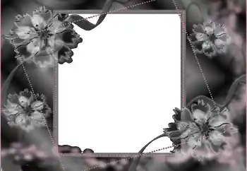 Foto effect van de categorie Rouwband № 114453