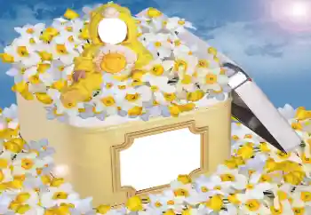 Foto effect van de categorie Voor kinderen № 33984