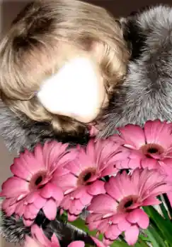Foto effect van de categorie Voor vrouwen № 38949