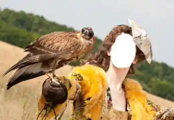 Foto effect van de categorie Voor vrouwen № 61598