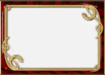 Foto effect van de categorie Album Nr.2 № 852