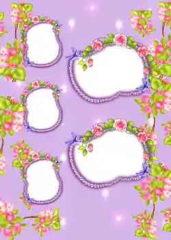 Foto effect van de categorie Album Nr.3 № 858