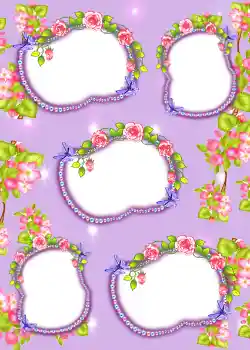 Foto effect van de categorie Album Nr.3 № 902