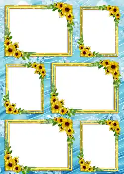 Foto effect van de categorie Album Nr.4 № 904