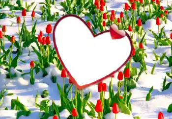 Foto effect van de categorie Fotolijsten voor verliefden № 114247 Foto effect van de categorie Fotolijsten voor verliefden № 114247