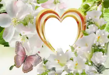 Foto effect van de categorie Fotolijsten voor verliefden № 114320 Foto effect van de categorie Fotolijsten voor verliefden № 114320