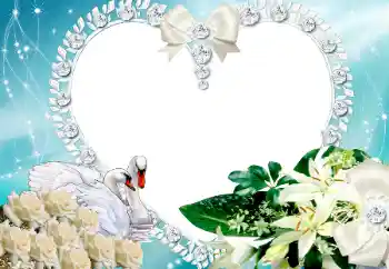 Foto effect van de categorie Fotolijsten voor verliefden № 117218 Foto effect van de categorie Fotolijsten voor verliefden № 117218