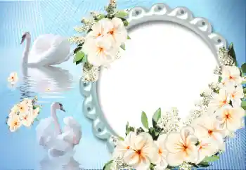 Foto effect van de categorie Fotolijsten voor verliefden № 12891