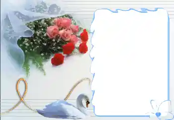 Foto effect van de categorie Fotolijsten voor verliefden № 12892