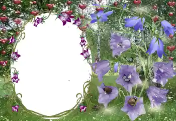 Foto effect van de categorie Fotolijsten voor verliefden № 131799 Foto effect van de categorie Fotolijsten voor verliefden № 131799