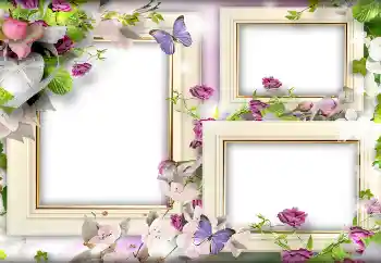 Foto effect van de categorie Fotolijsten voor verliefden № 141166