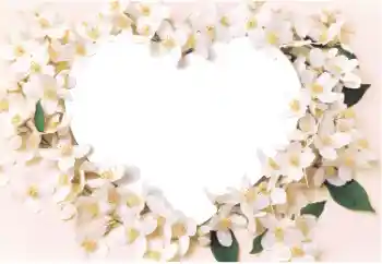 Foto effect van de categorie Fotolijsten voor verliefden № 14892