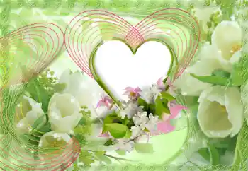 Foto effect van de categorie Fotolijsten voor verliefden № 153052