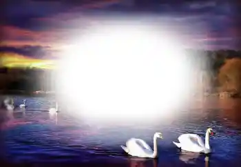 Foto effect van de categorie Fotolijsten voor verliefden № 153250