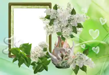 Foto effect van de categorie Fotolijsten voor verliefden № 153257