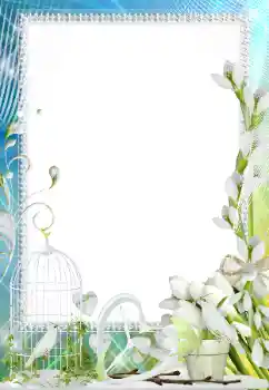 Foto effect van de categorie Fotolijsten voor verliefden № 158305