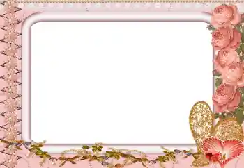 Foto effect van de categorie Fotolijsten voor verliefden № 15940