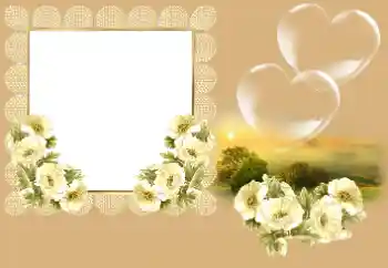 Foto effect van de categorie Fotolijsten voor verliefden № 166669