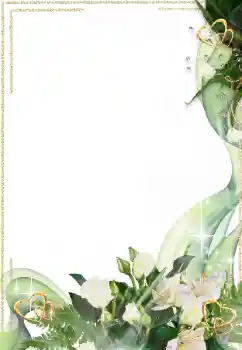 Foto effect van de categorie Fotolijsten voor verliefden № 16998