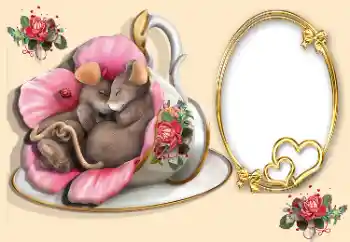 Foto effect van de categorie Fotolijsten voor verliefden № 170567