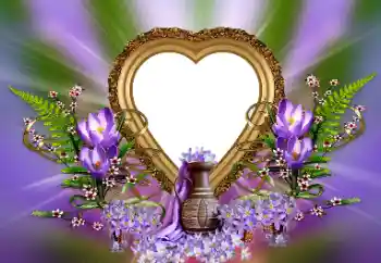 Foto effect van de categorie Fotolijsten voor verliefden № 171815