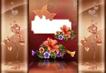 Foto effect van de categorie Fotolijsten voor verliefden № 174277