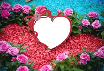 Foto effect van de categorie Fotolijsten voor verliefden № 175547