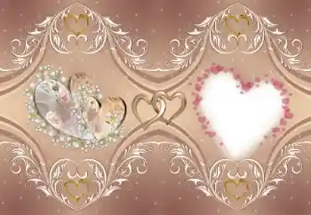 Foto effect van de categorie Fotolijsten voor verliefden № 176781