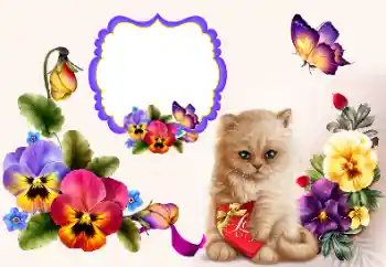 Foto effect van de categorie Fotolijsten voor verliefden № 177858