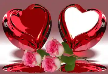 Foto effect van de categorie Fotolijsten voor verliefden № 179349