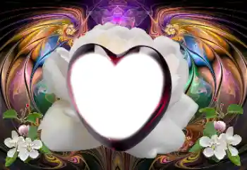 Foto effect van de categorie Fotolijsten voor verliefden № 179579